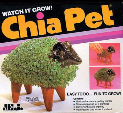 Chia Pet, 1970s